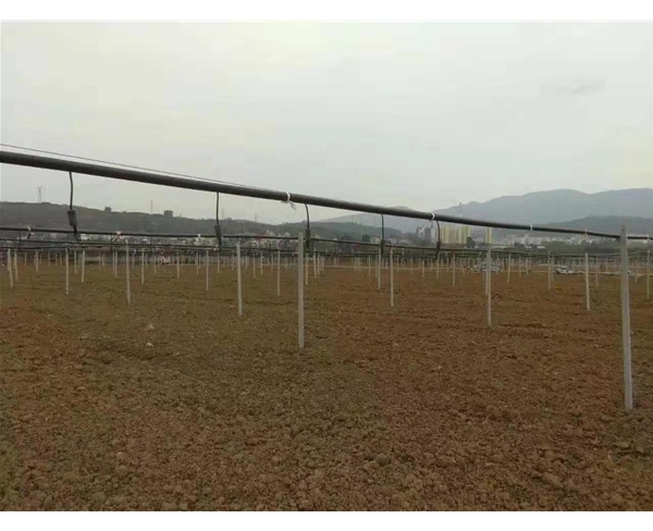 露天微噴